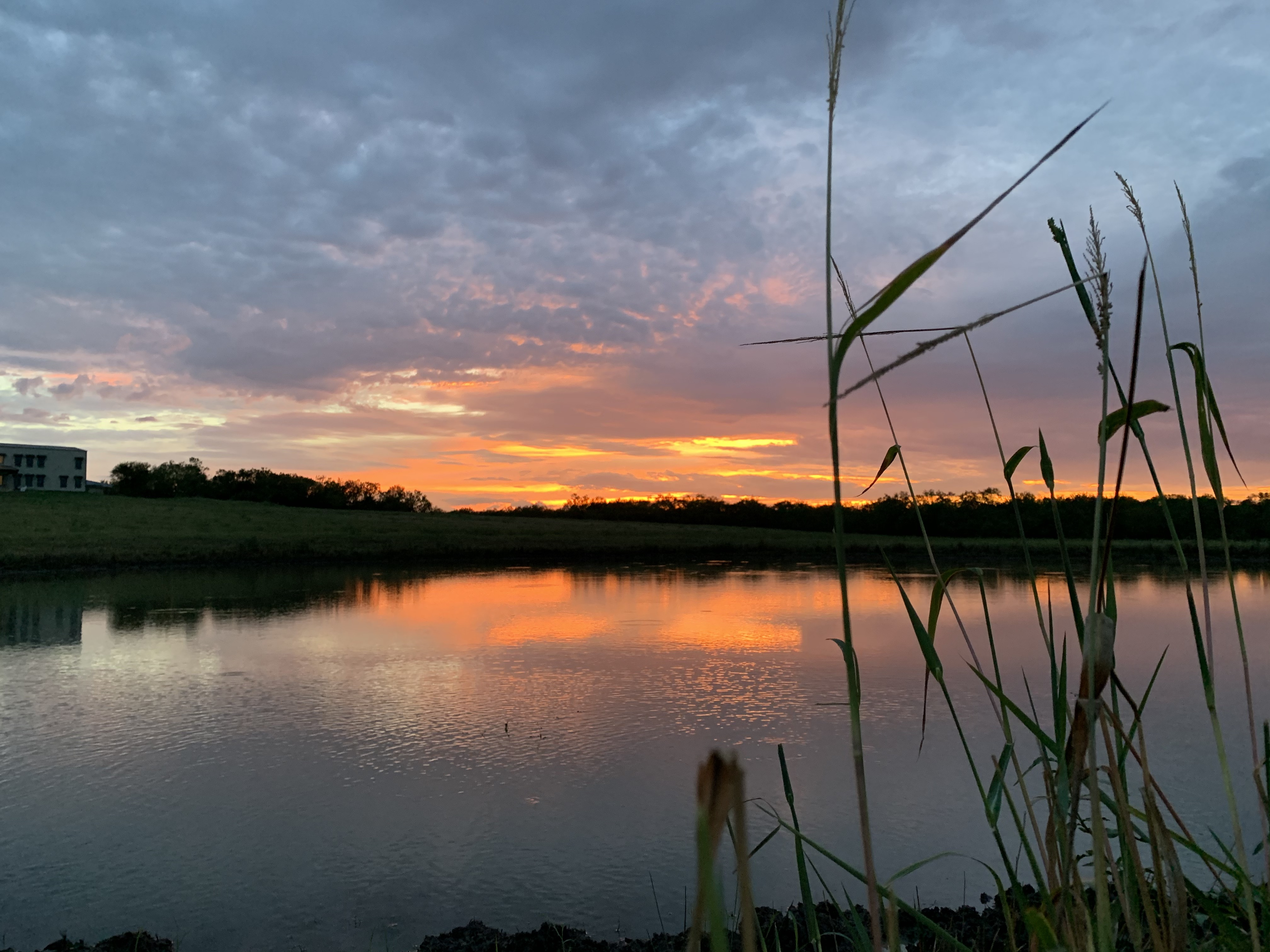 SUnset over pond Forrest Creek Ranch