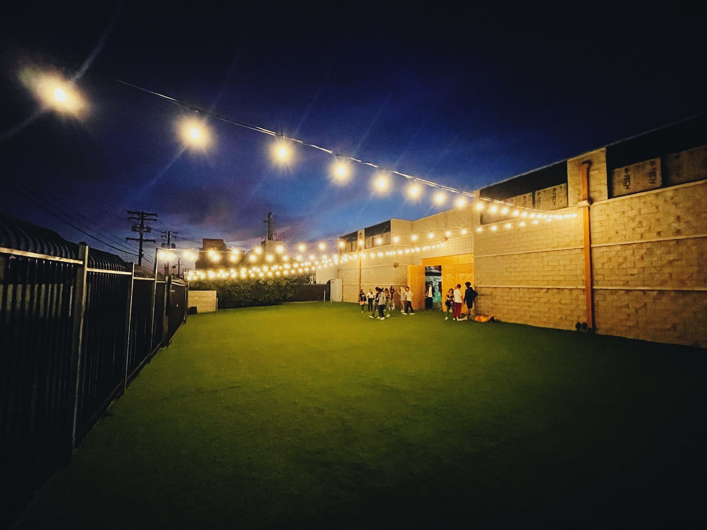 IMG_3531 3167 Gallery