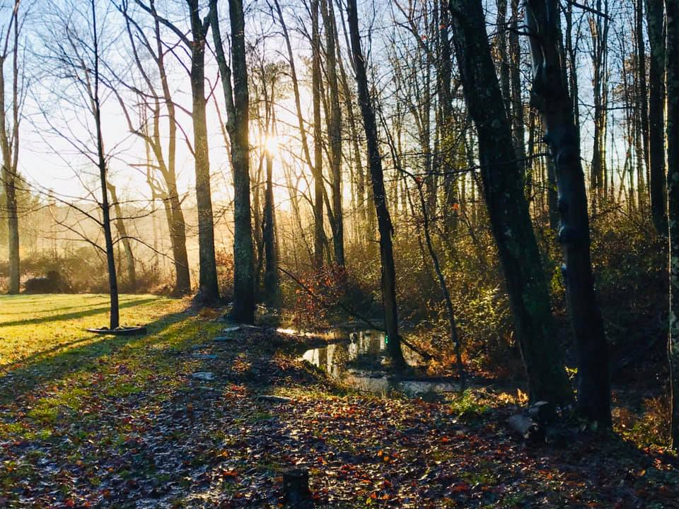 Forget Me Knot Venue