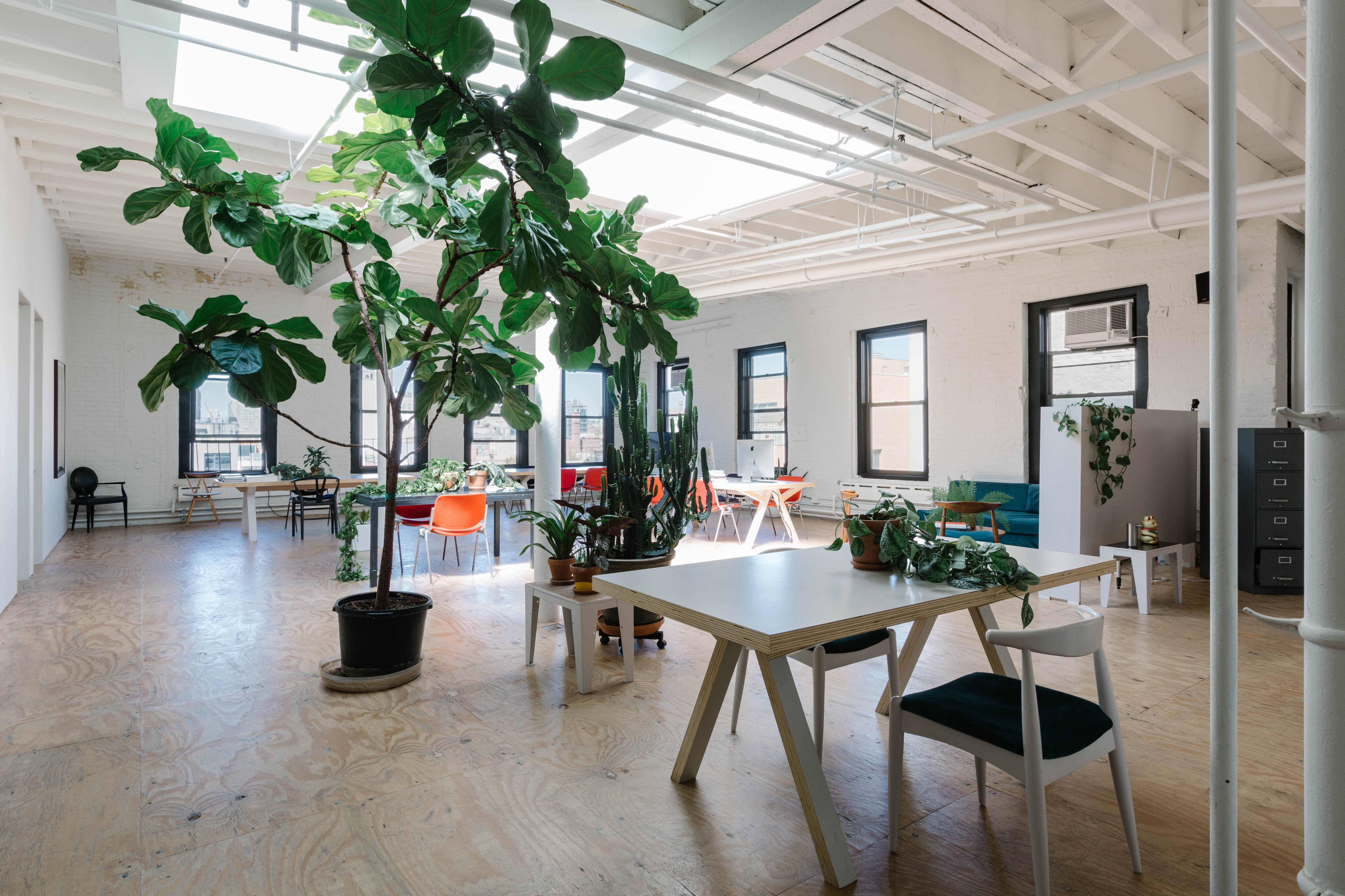 Multi-Studio Loft in Chinatown