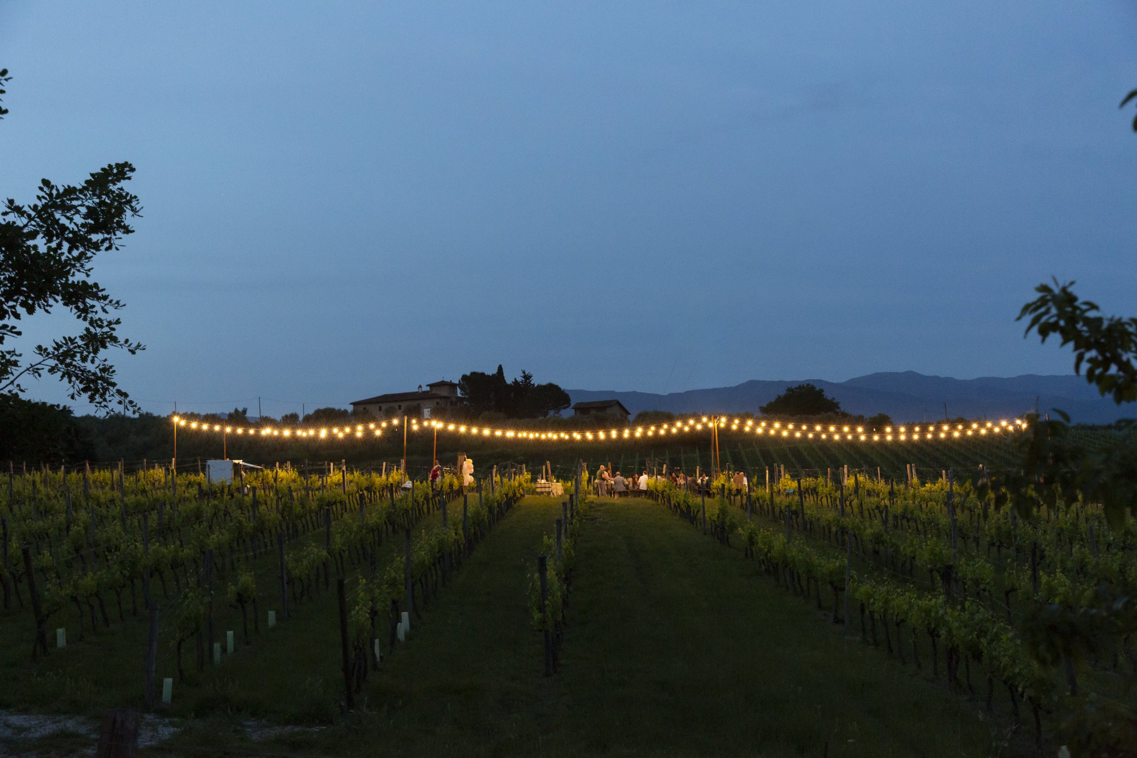 53736066836_1bb52f79e6_o Palagina