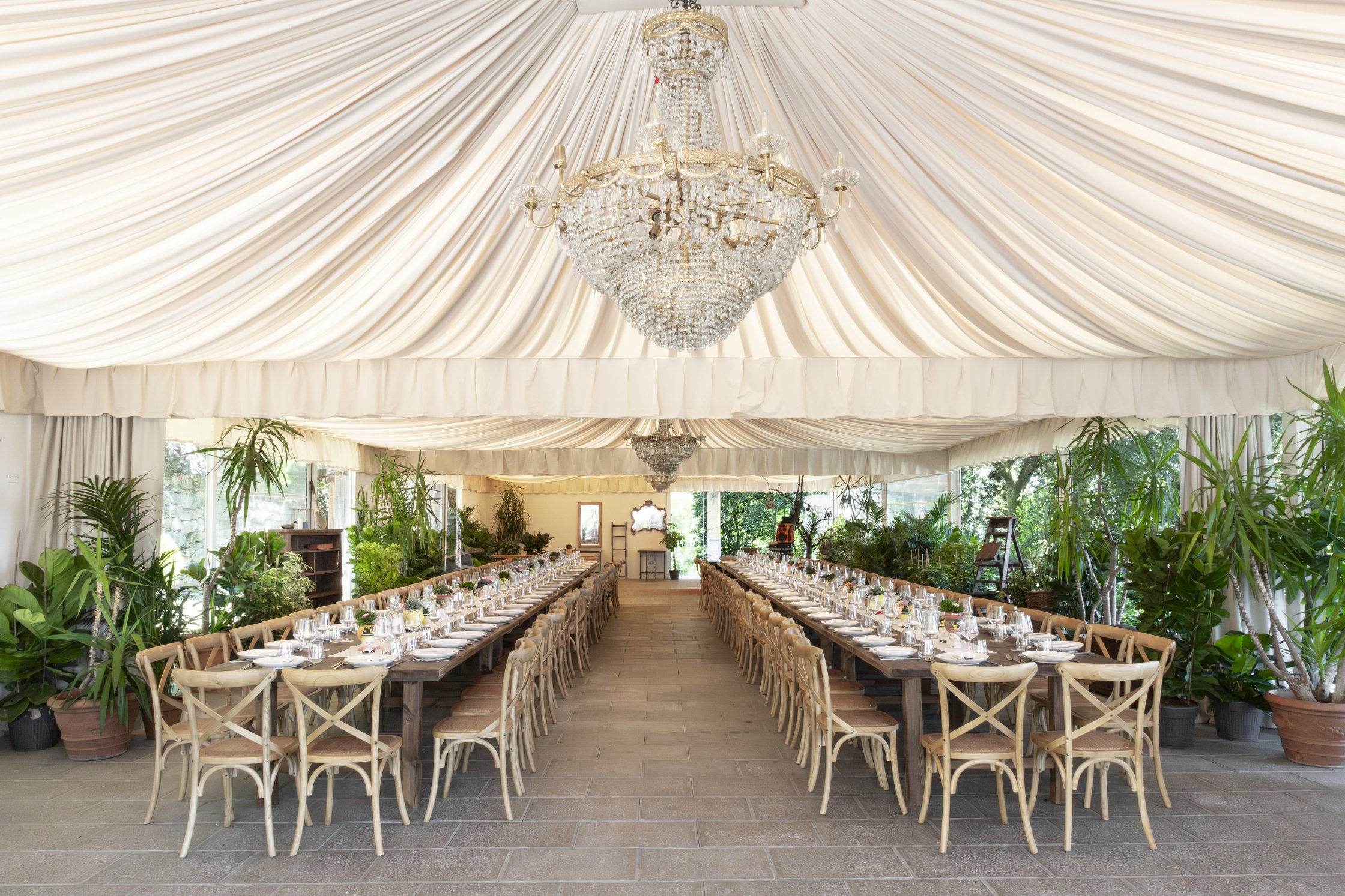 53736497125_ce6a4e2f4a_o Palagina