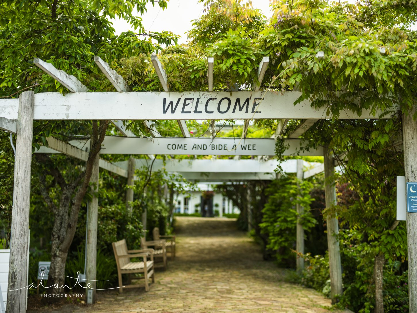 alante-photography-san-juan-island-wedding-roche-harbor01 Roche Harbor Resort