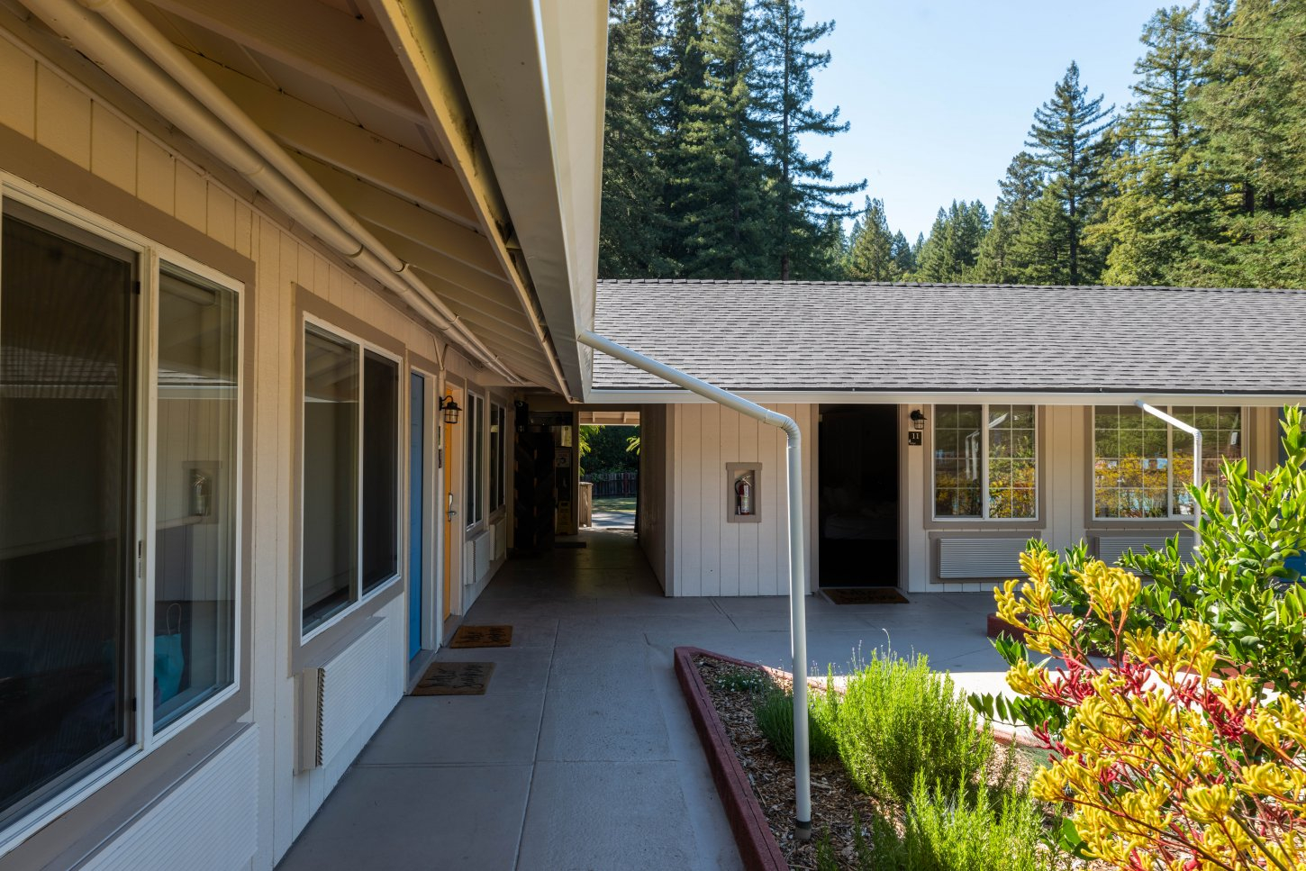 Casa Secoya - Outside Areas - 04 Casa Secoya