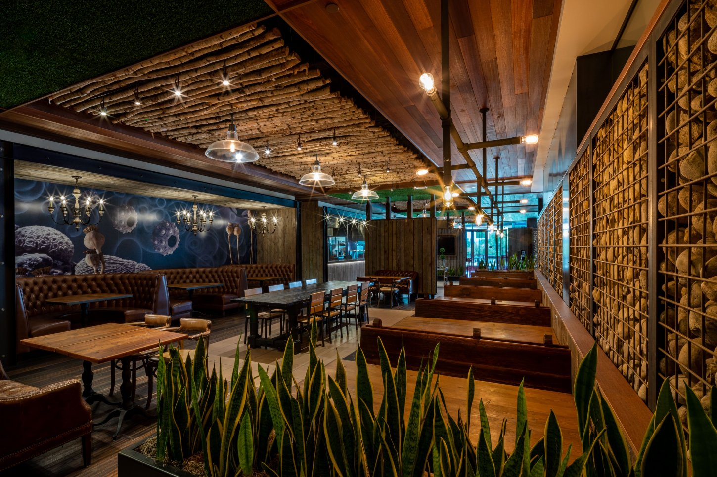 4efD8rwU Alexandria Point