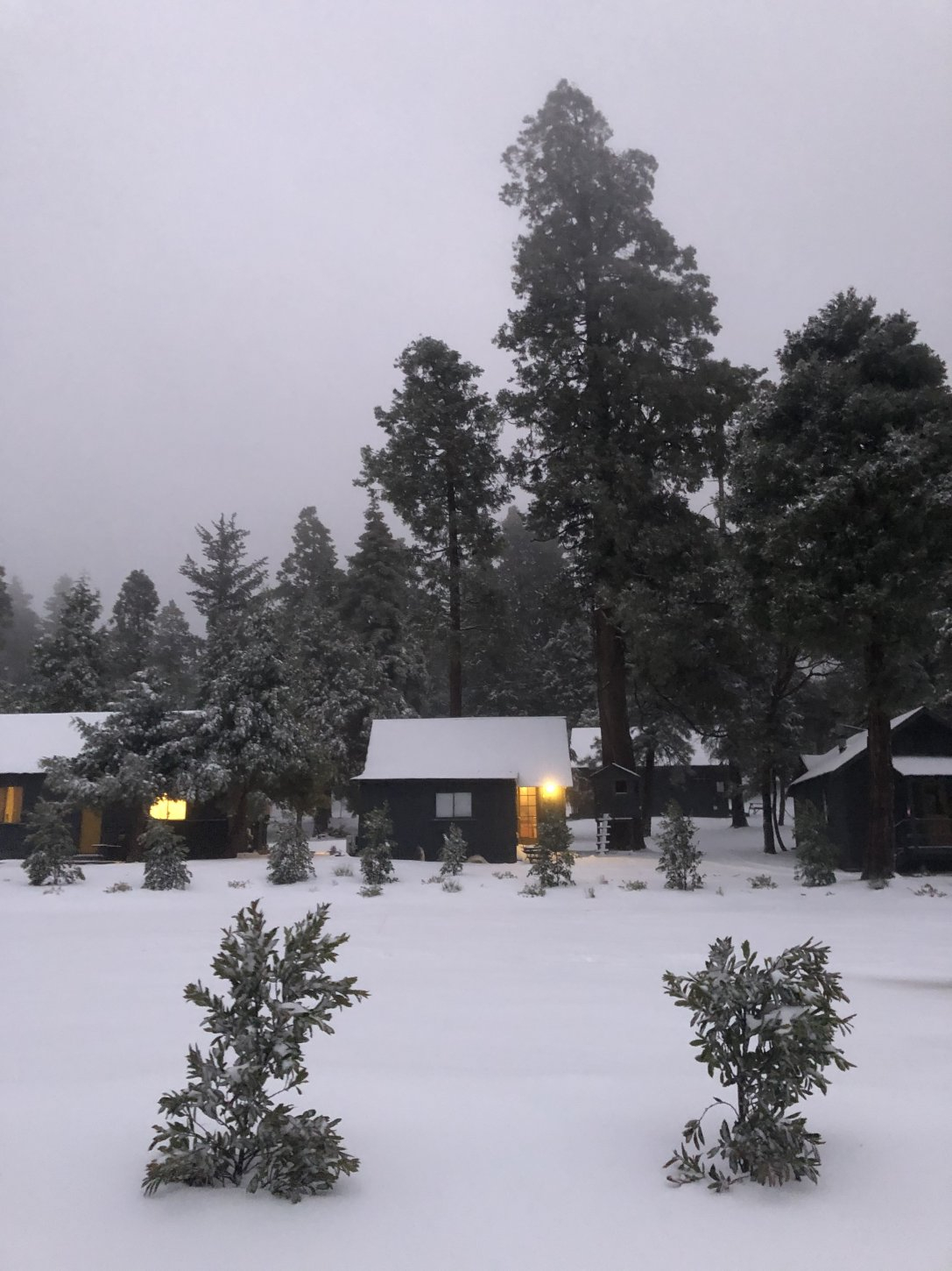 The Perch at Twin Peaks