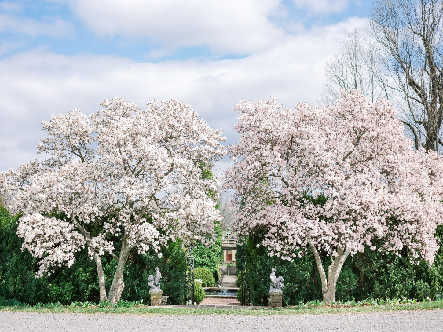 Rachel-May-Photography-32622-14 Glenstone Gardens