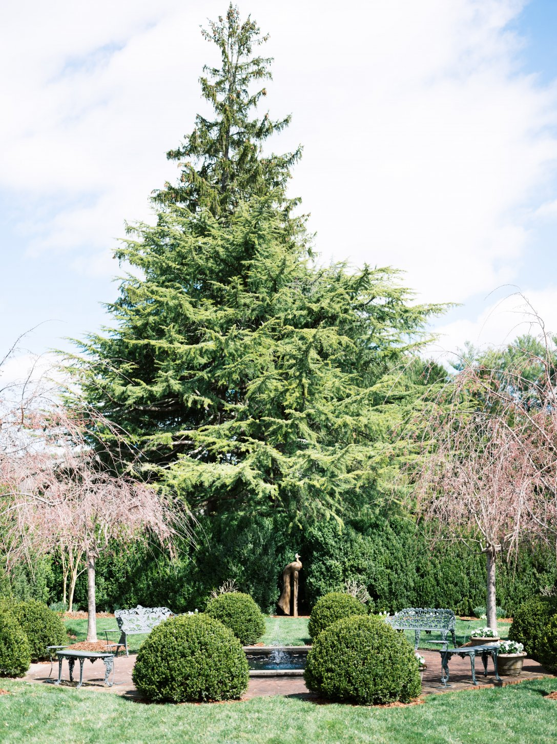 Rachel-May-Photography-32622-26 Glenstone Gardens