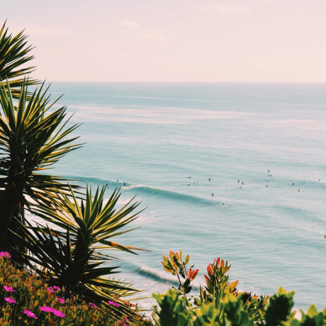 Our Hometown Guide to 36 Can't Miss Spots in Encinitas