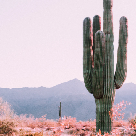 15 Reasons Arizona Is The Ultimate Adventure to Gift This Season