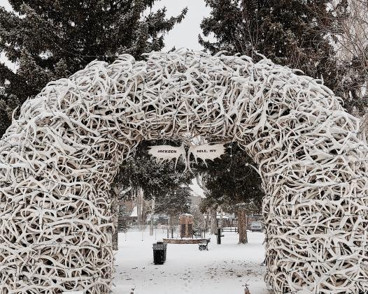 The City Guide to Jackson Hole, Wyoming