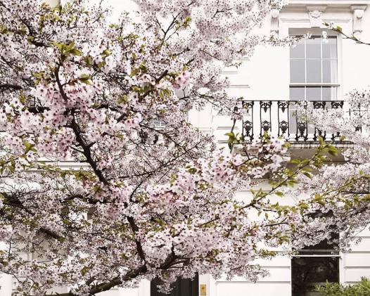 How to Spend a May Day in London’s Poshest Neighborhood