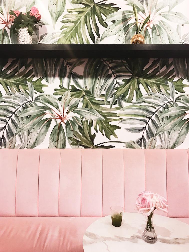 Blush velvet couches and palms was the perfect touch for San Diego's first matcha shop!