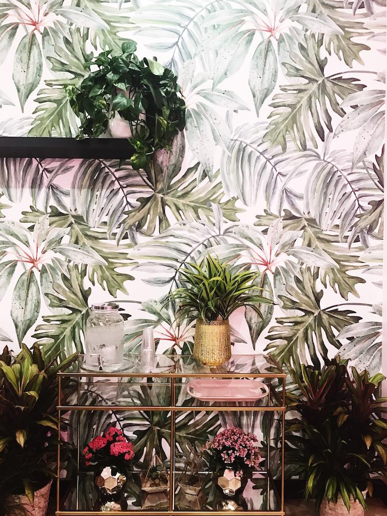 Plants and palms happily overwhelm the walls of San Diego's newest venue, Holy Matcha. 