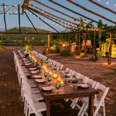 A Farm To Table Wedding Under The Baja California Sky