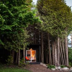 Why Your Next Birthday Trip Should Be to This Tiny Cabin in the Canadian Forest