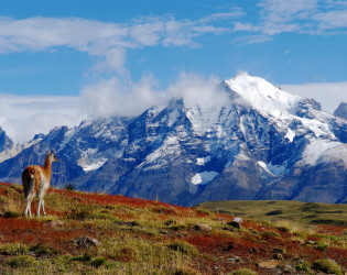 Explora Patagonia