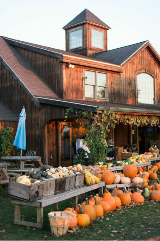 Sweet Berry Farm Middletown, Rhode Island, United States Venue Report