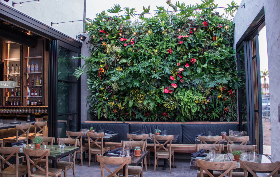 The Patio on Goldfinch Mission Hills, San Diego, California, United