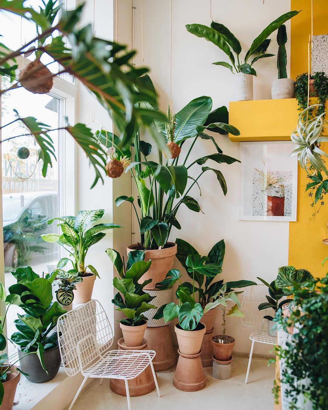 20 of the Cutest Plant Shops Around the World