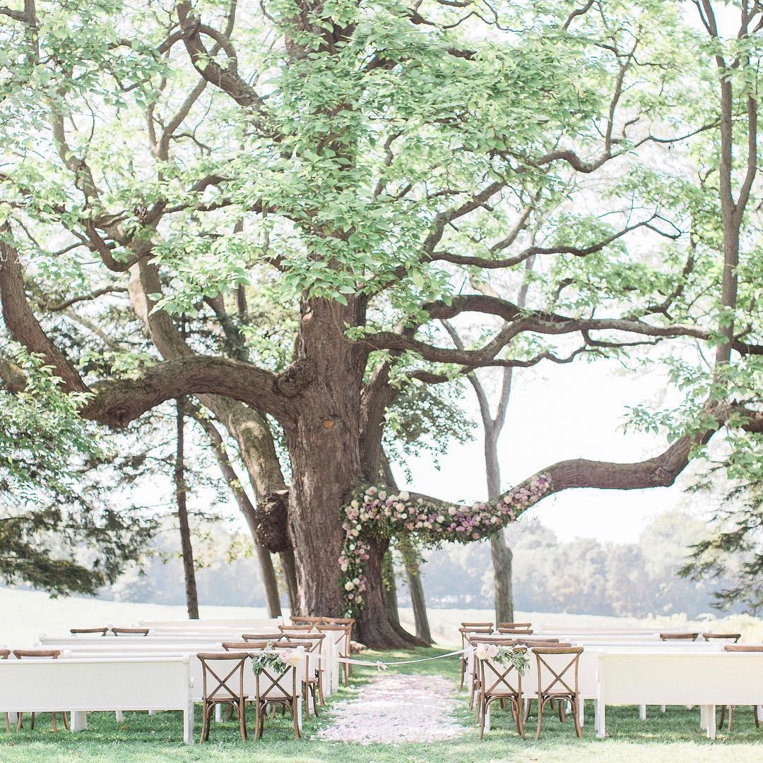  The Ultimate Guide To Enchanting Wedding Venues In Michigan 