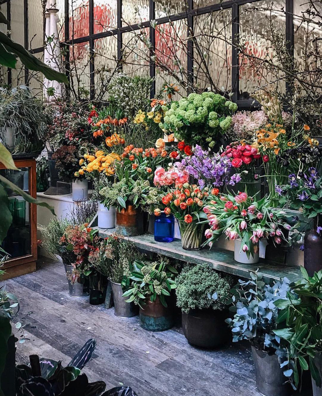 Petersham Nurseries