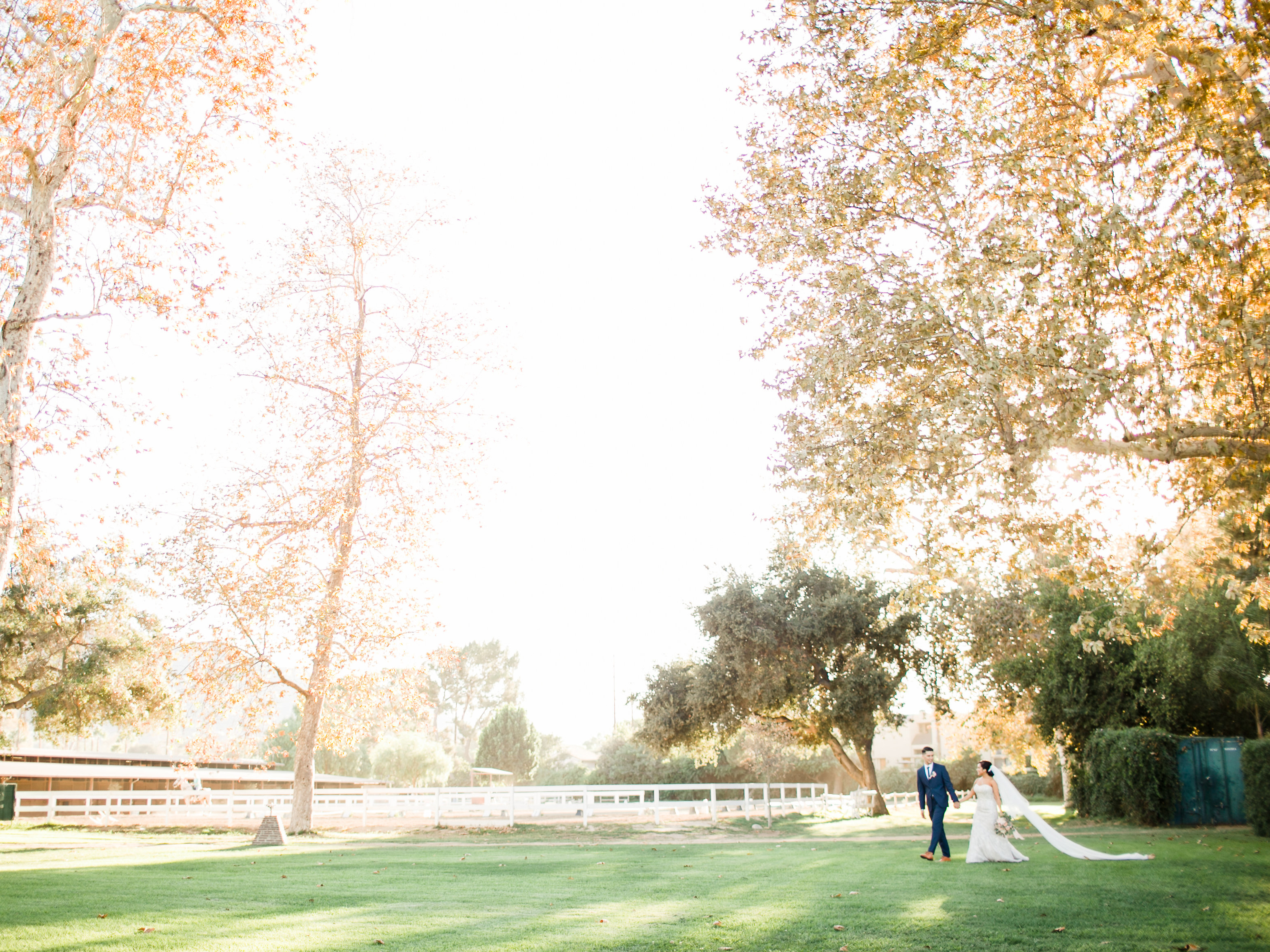 Calamigos Equestrian