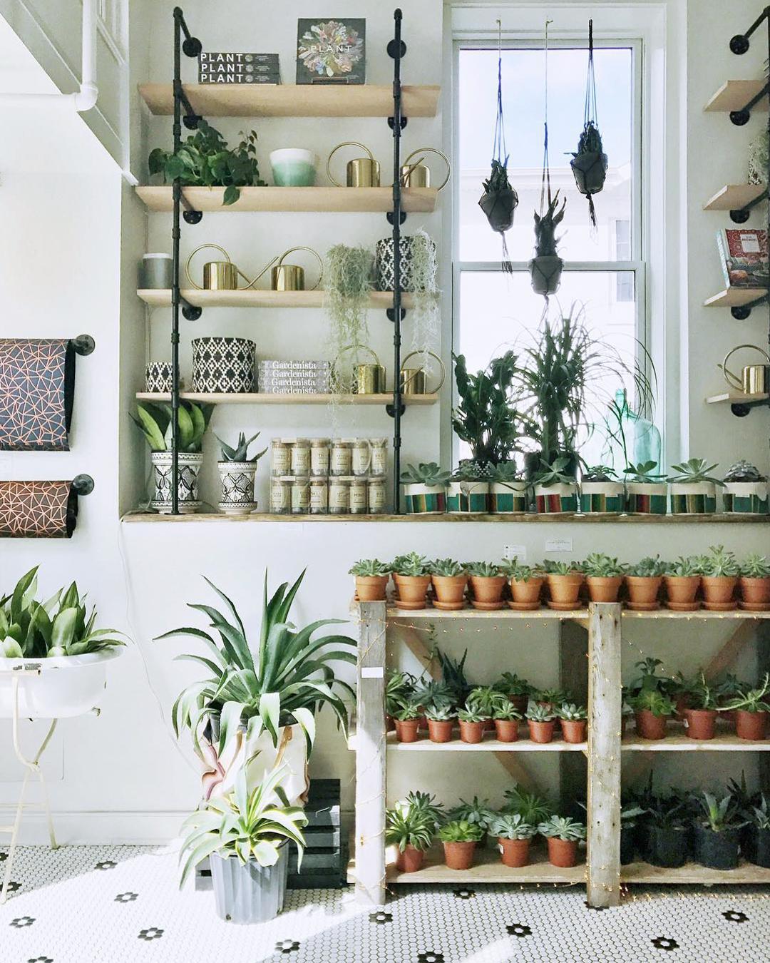 30 of the Cutest Plant Shops Around the World