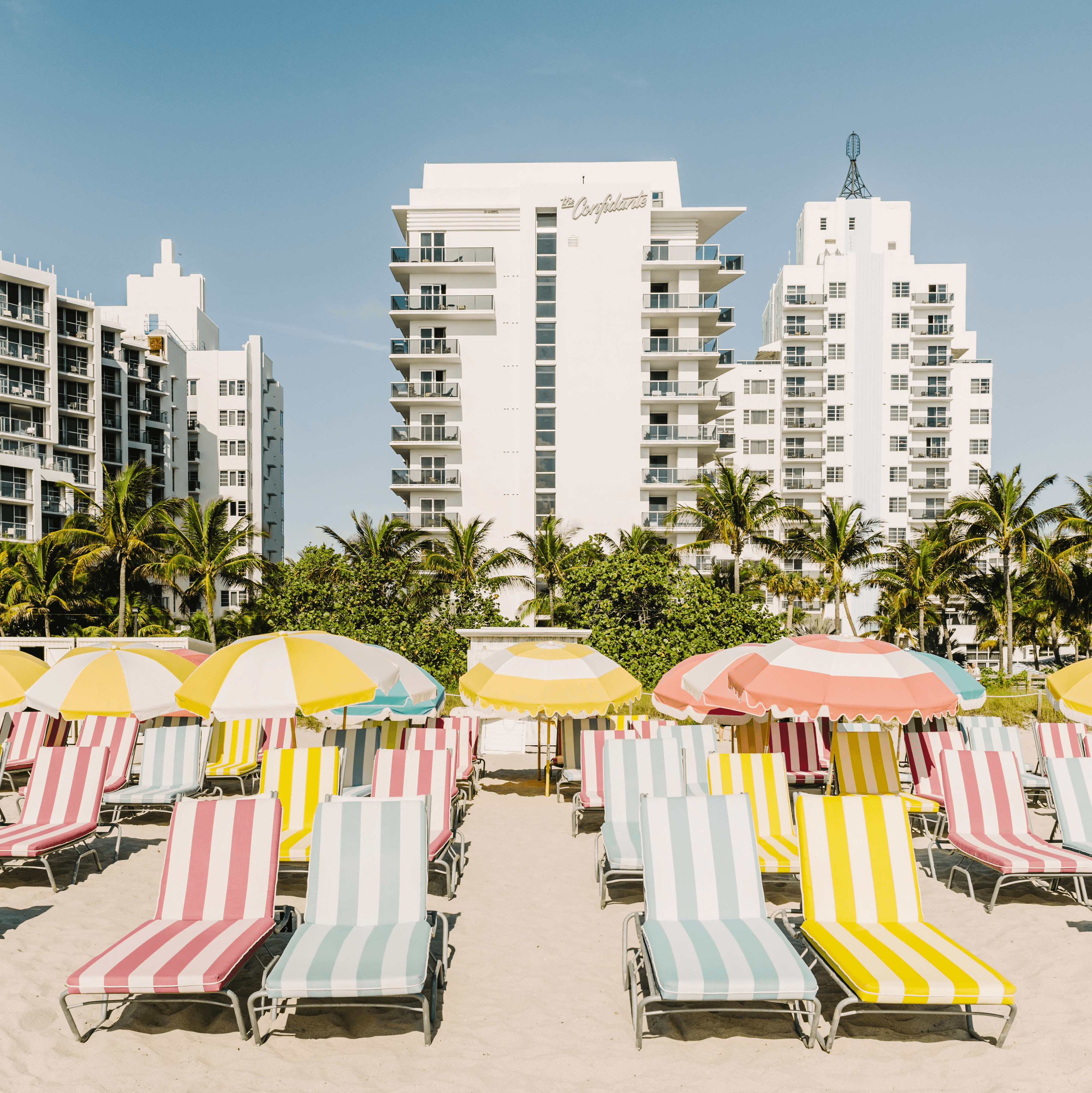 Poolside loungers at a resort